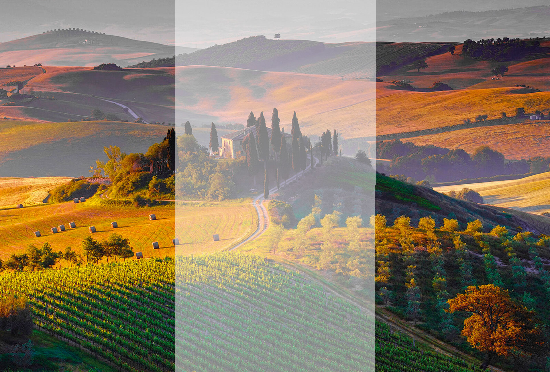 Siena and Val d'Orcia
Discover all offers